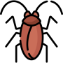 cafard